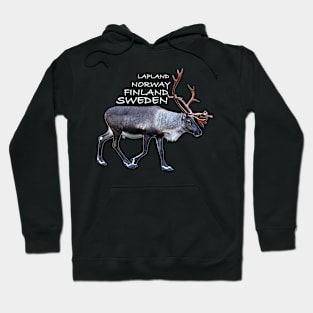 Lapland Hoodie